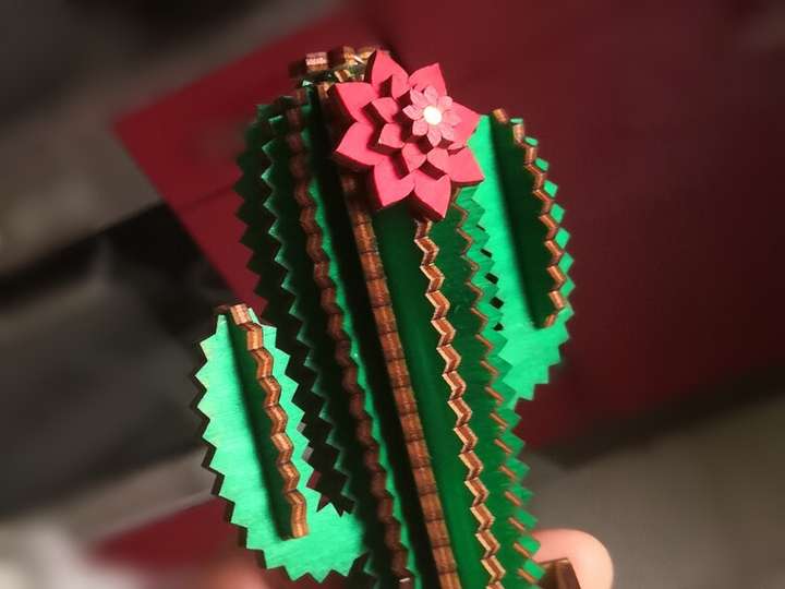 Minikaktus